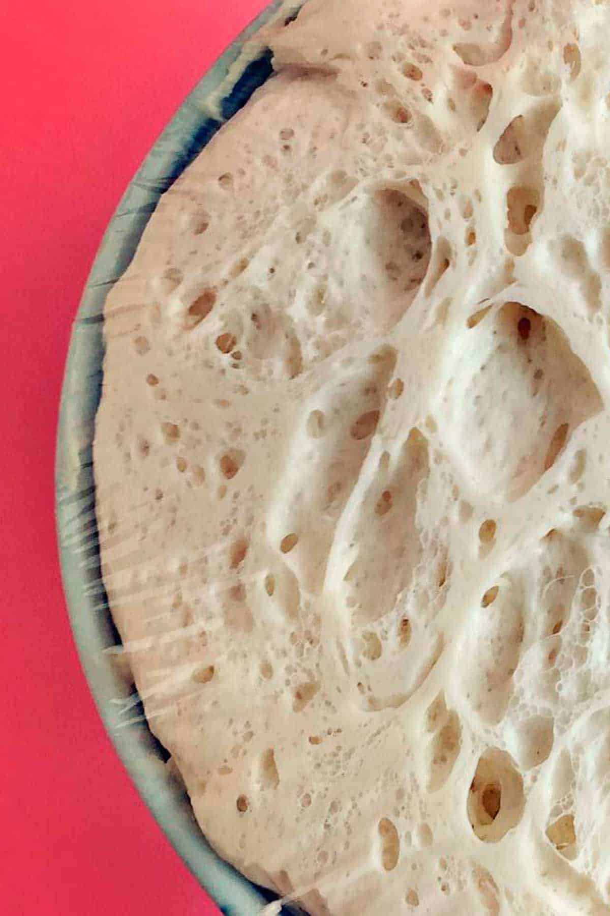Close up of bread dough