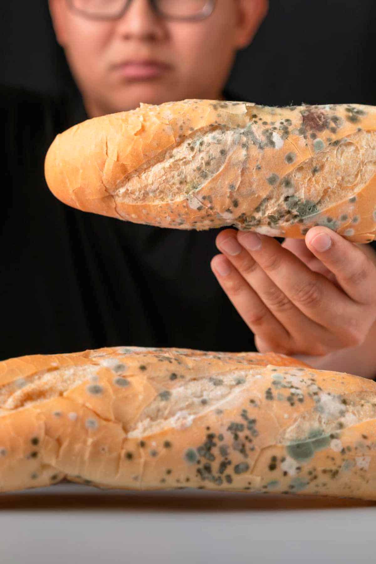 Bread Mold: How To Identify Types Of Mold - Database Football