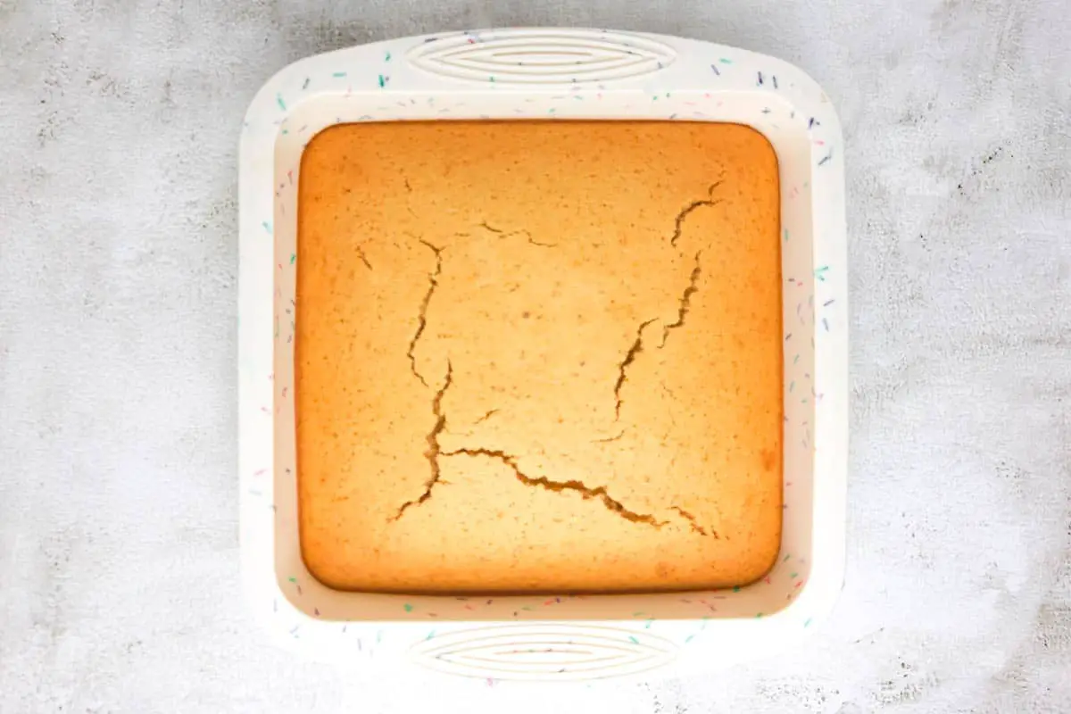 Cornbread in silicon form